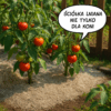Ściółka lniana do ogrodu naturalne mulczowanie warzyw i owoców 20kg