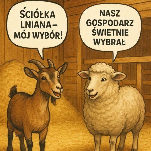 Ściółka lniana HoFl – naturalna podściółka dla kóz, owiec